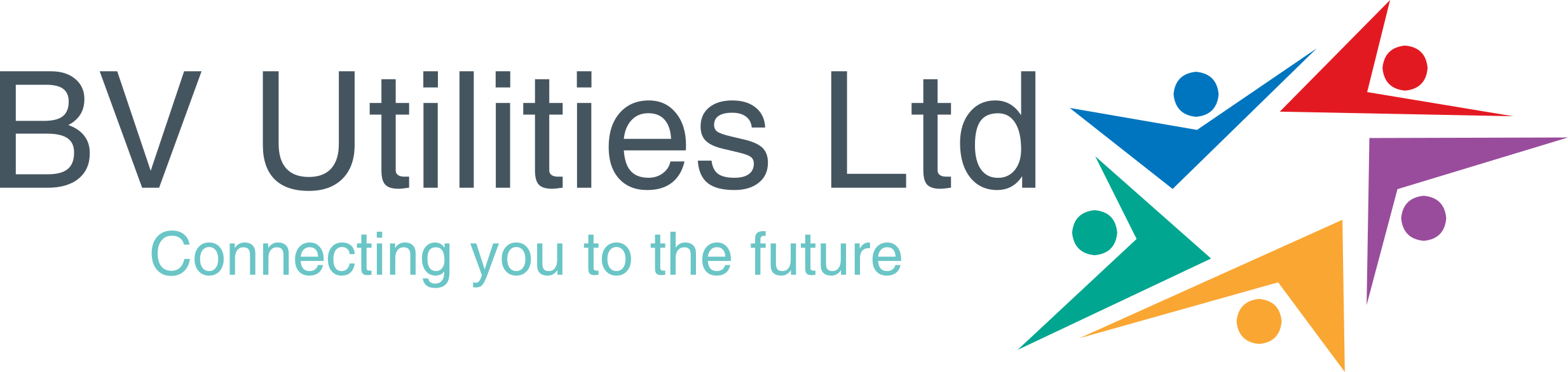 BV UTILITIES LTD